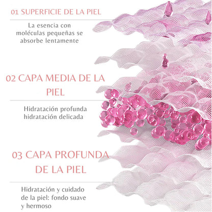 Kit Skincare BIOAQUA 6 Pasos - Agua de Rosas y Acido Hialurónico
